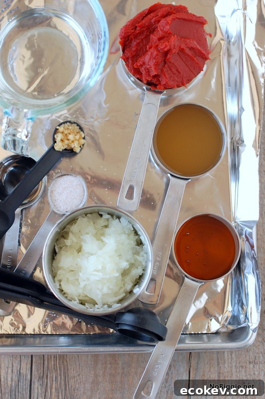 homemade ketchup recipe - so easy and no added