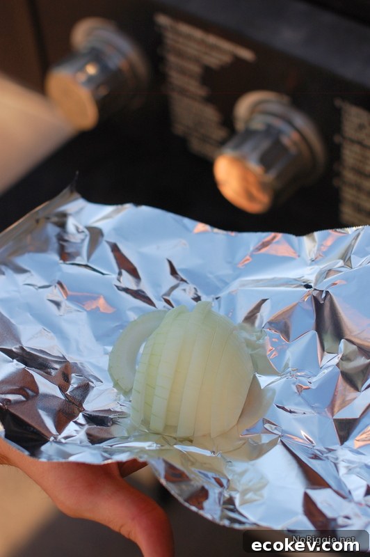 How to steam onions on the grill | NoBiggie.net