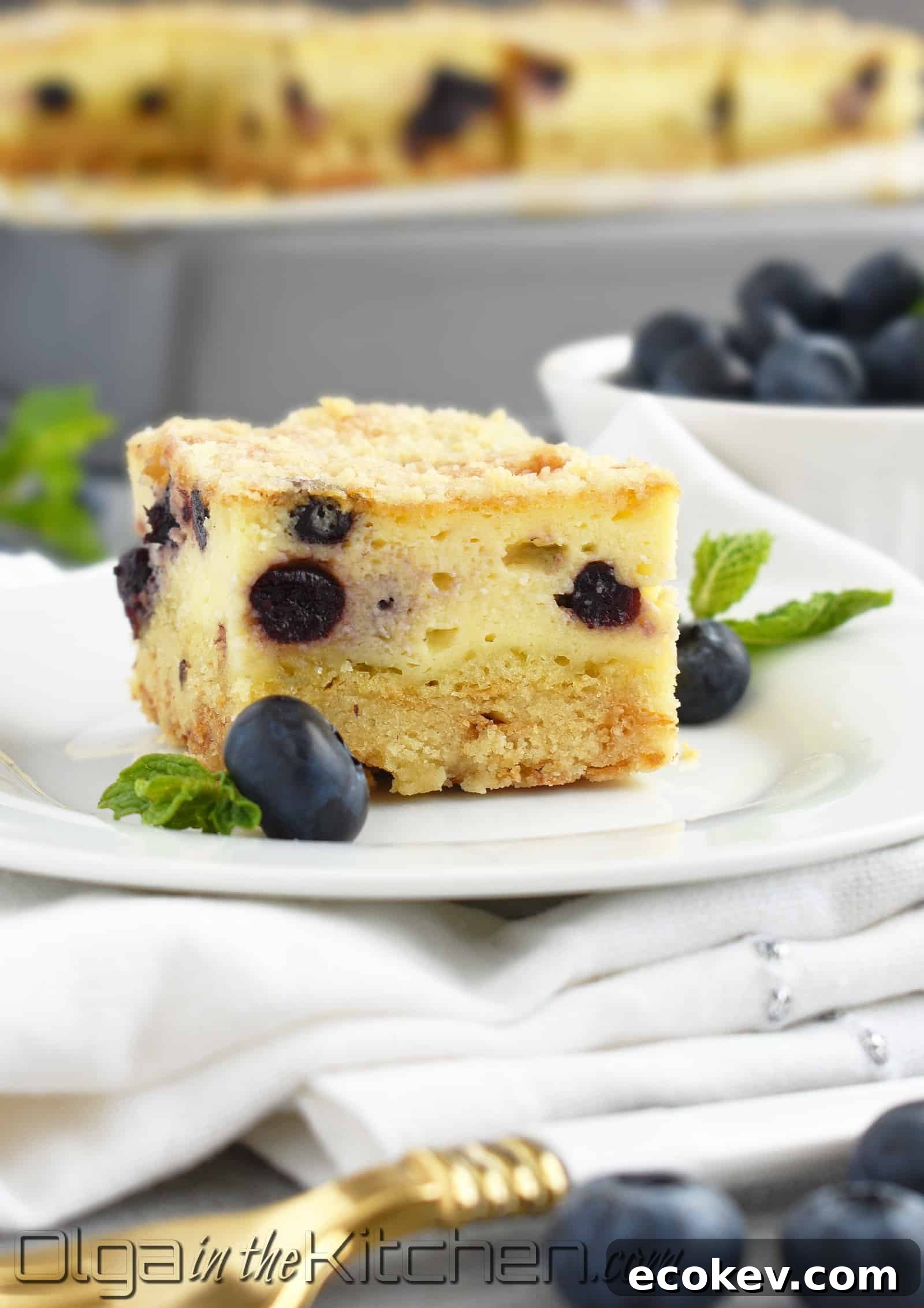 Farmer’s Cheese Blueberry Crumb Cake: slightly sweet, creamy and buttery with a little blueberry hint; Ukrainian kind of cheesecake!