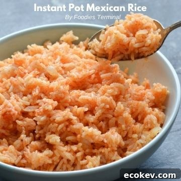 fluffy mexican rice instant pot recipe in a light blue plate with a spoon