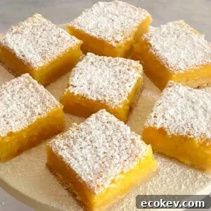 passion fruit bars with powdered sugar
