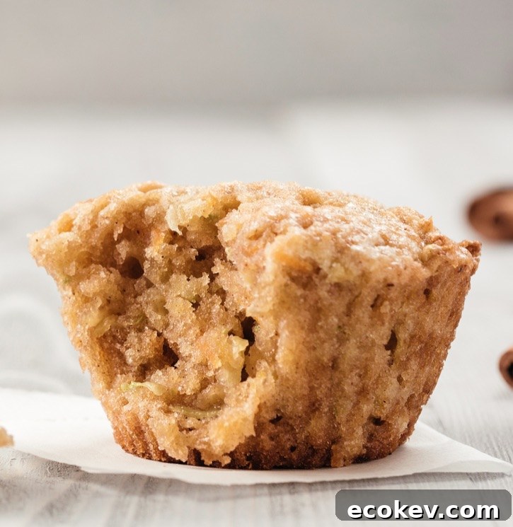 3 Ingredient Cake Mix Apple Spice Muffins Recipe -- A quick and easy snack or breakfast idea! Kids love these simple muffins made with cheap ingredients that you probably already have.