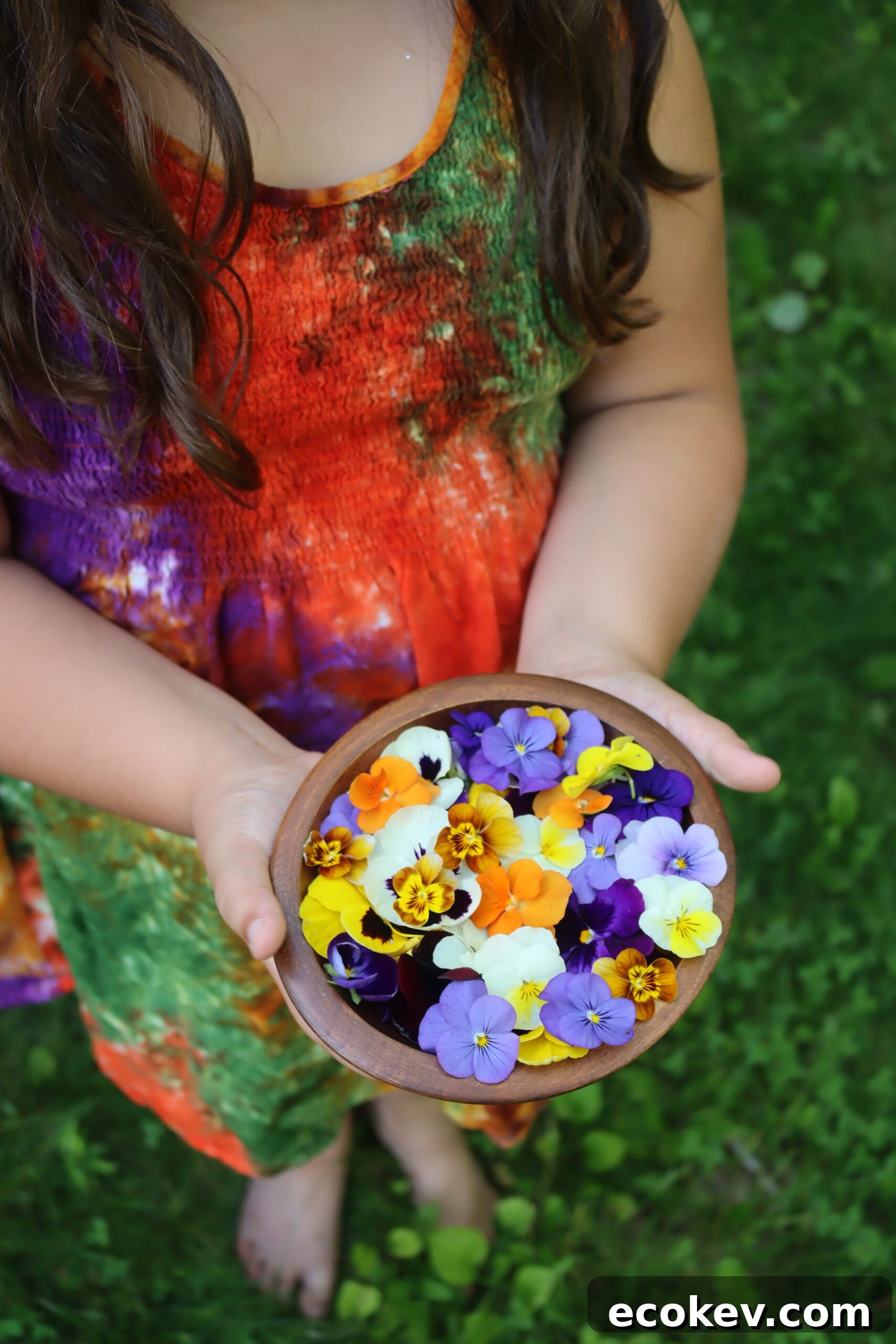 Pansy Recipes