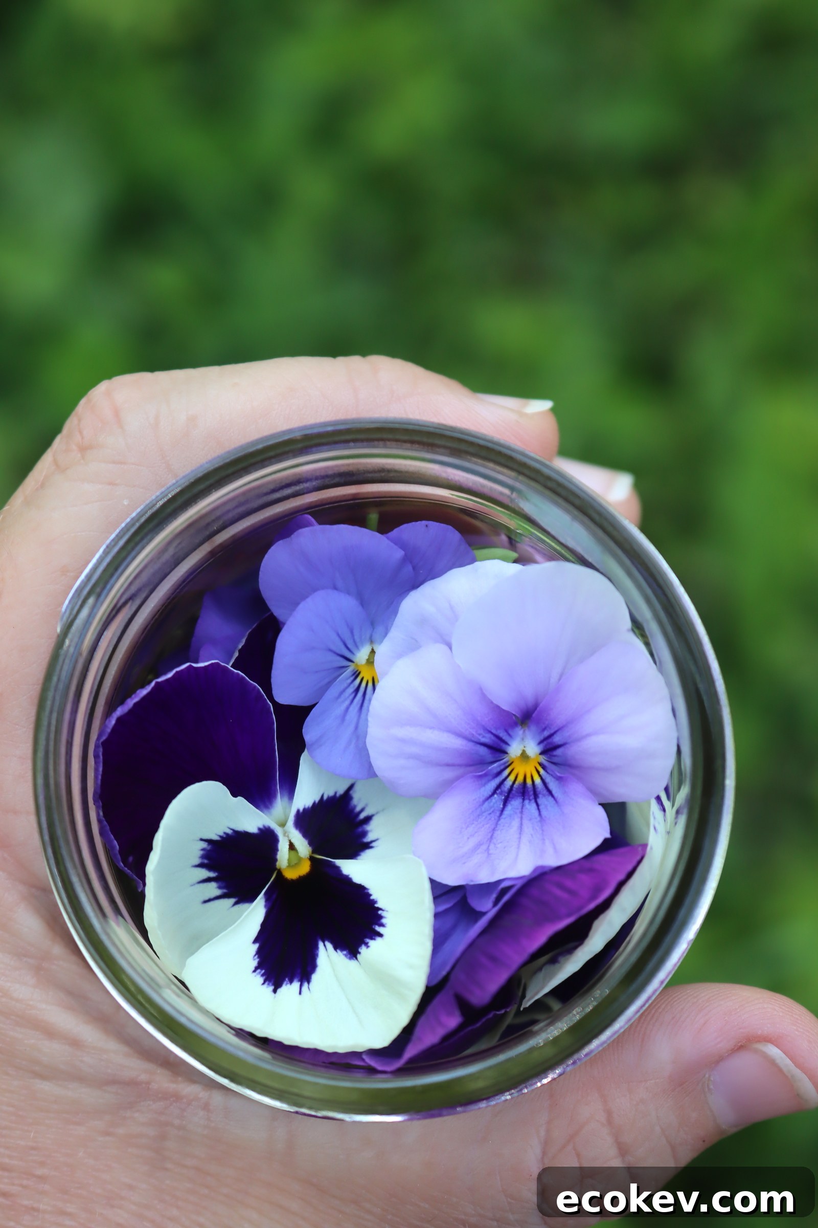 Blue Pansy Jar