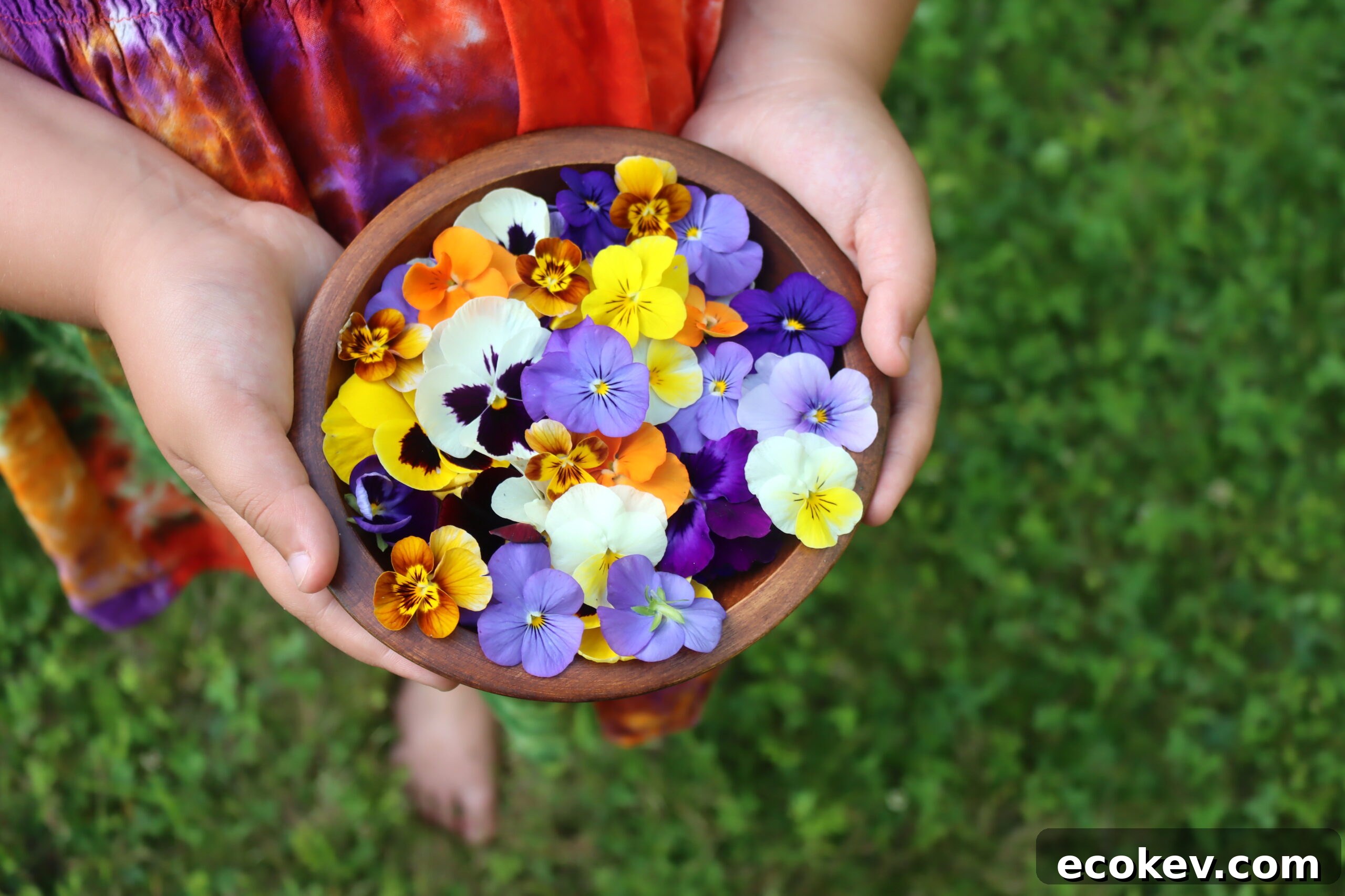 Pansy Recipes