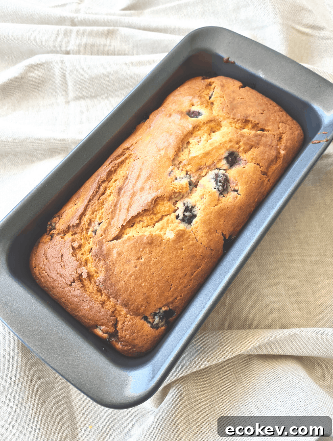 This blueberry yoghurt loaf is delicious, next level moist and since it has yoghurt and blueberries it's basically healthy