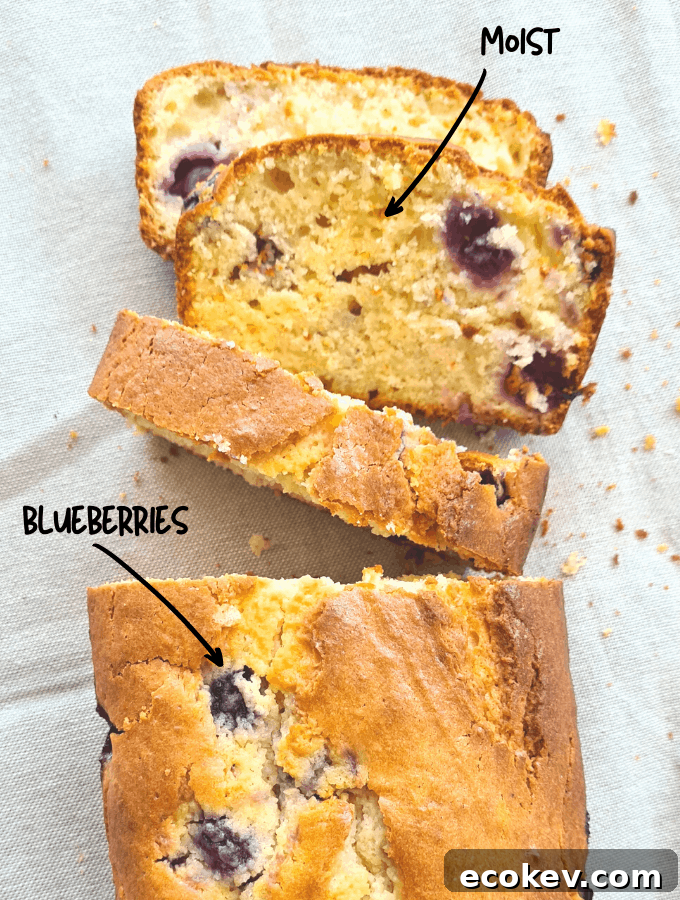 This blueberry yoghurt loaf is delicious, next level moist and since it has yoghurt and blueberries it's basically healthy