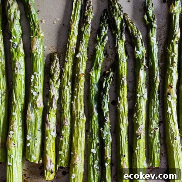 This roasted asparagus is perfectly seasoned and the perfect side dish.
