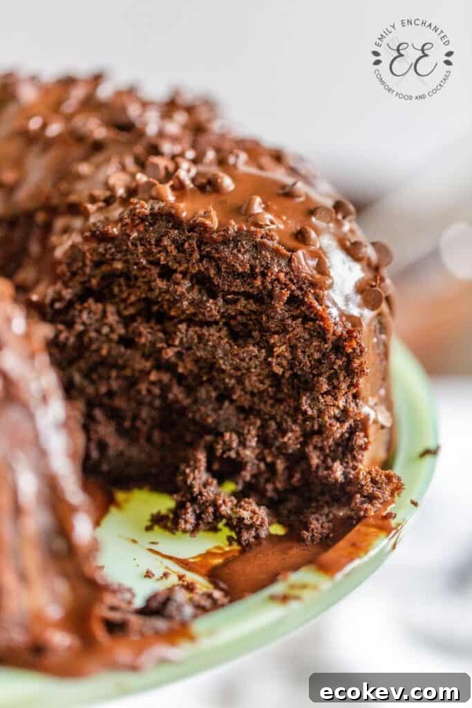 Chocolate Bundt Cake with Zucchini