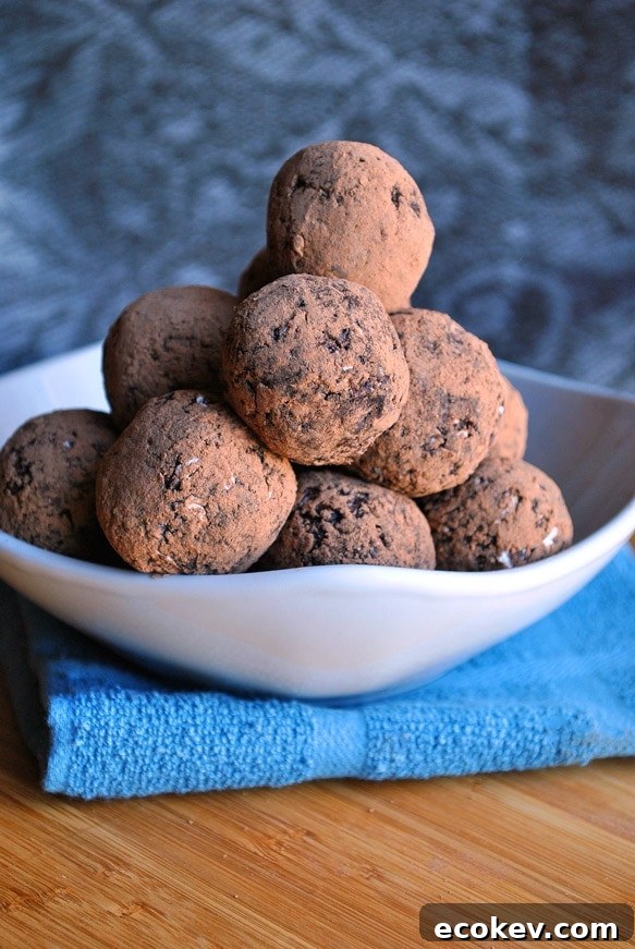 chocolate blueberry energy ball