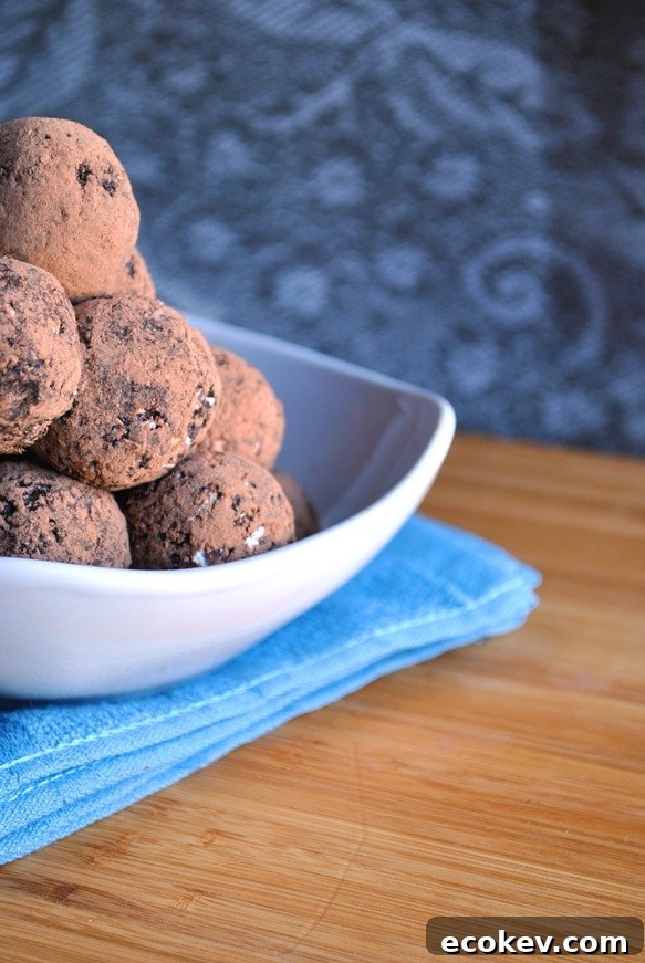 chocolate blueberry energy ball