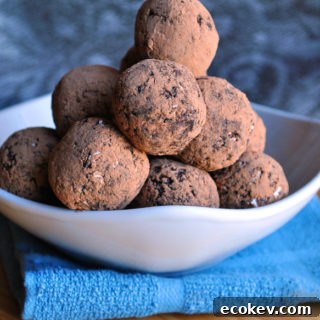 chocolate blueberry energy ball
