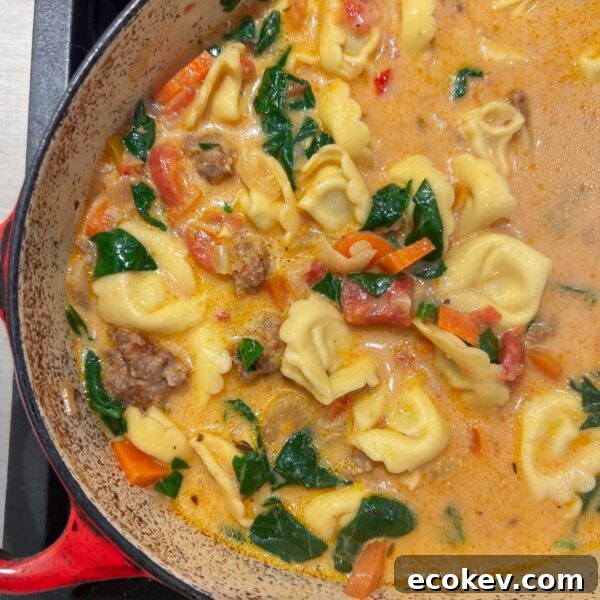 tortellini soup with spinach