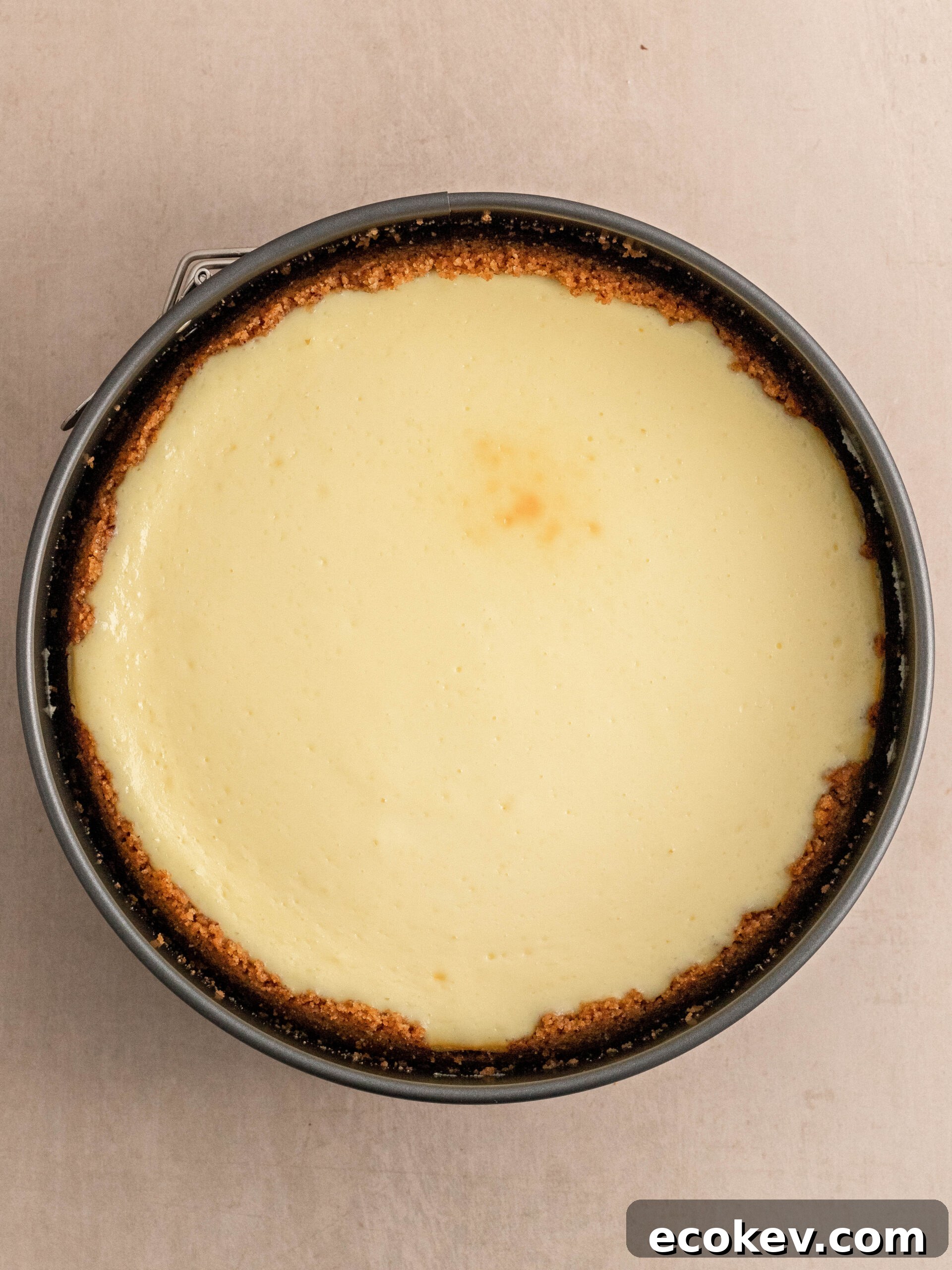 Step 7. Let the cheesecake cool down.