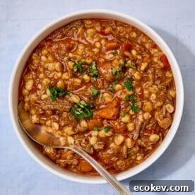 Brisket and barley soup in white bowl with spoon.