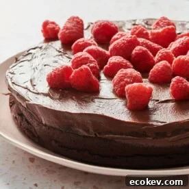 Nut-Free Flourless Chocolate Cake with Raspberries