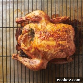 Whole roasted chicken on wire rack.
