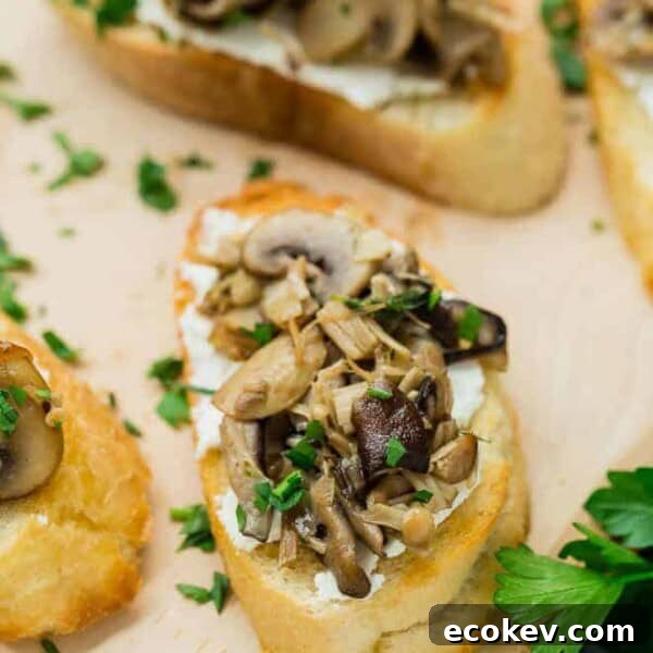image of wild mushroom crostini with goat cheese, garnished with fresh parsley. Arranged with multiple crostini