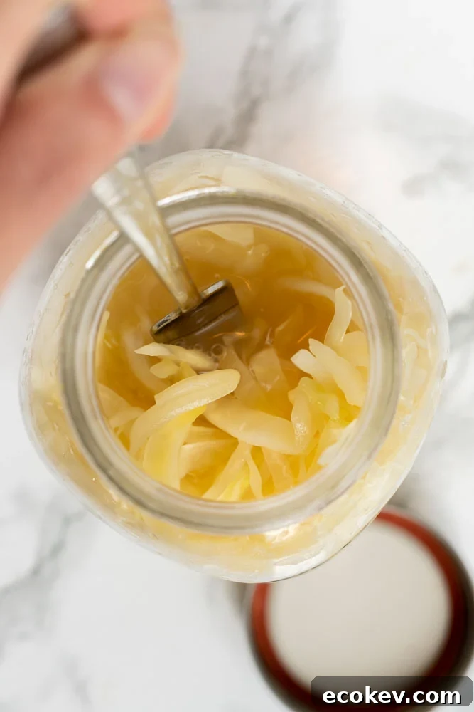 A fork reaching into a jar of sauerkraut.