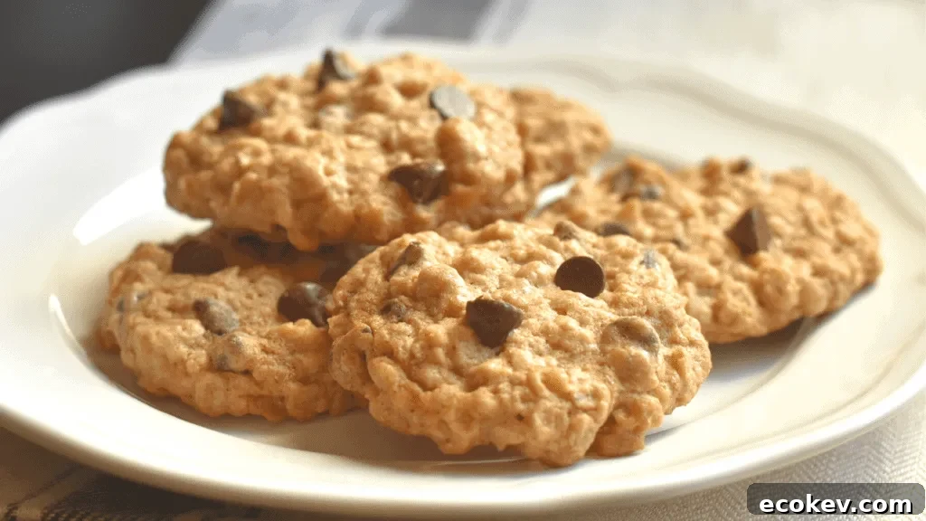 Oatmeal chocolate chip cookies