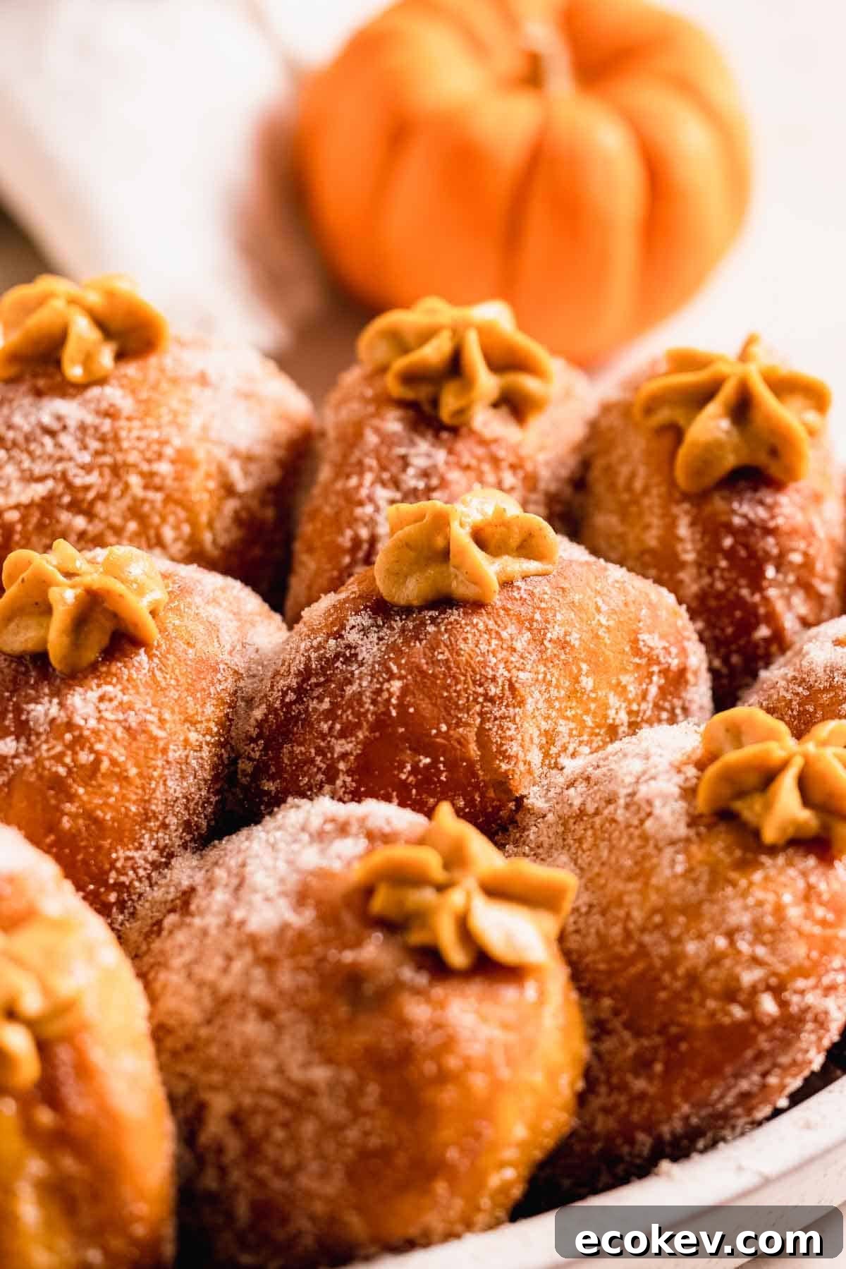 sugared pumpkin donuts with stars of custard filling on top