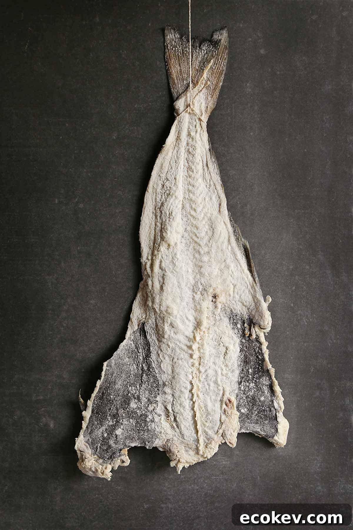 A plank of dried salt cod
