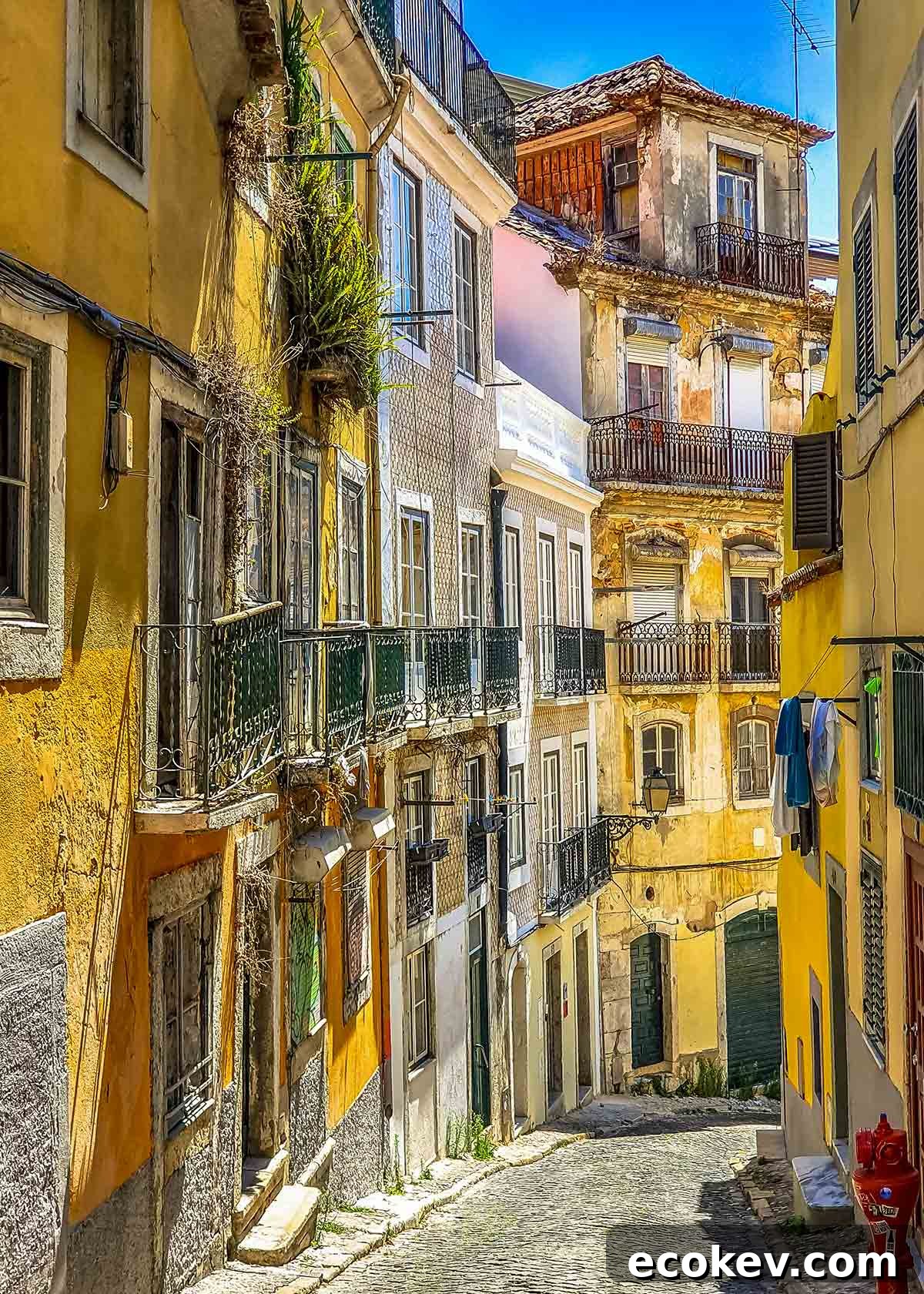 Lisbon Street