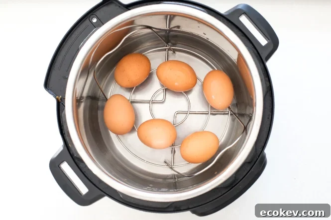 overhead shot of eggs in the instant pot with wire basket