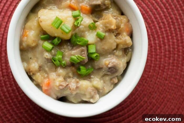 venison-stew-2