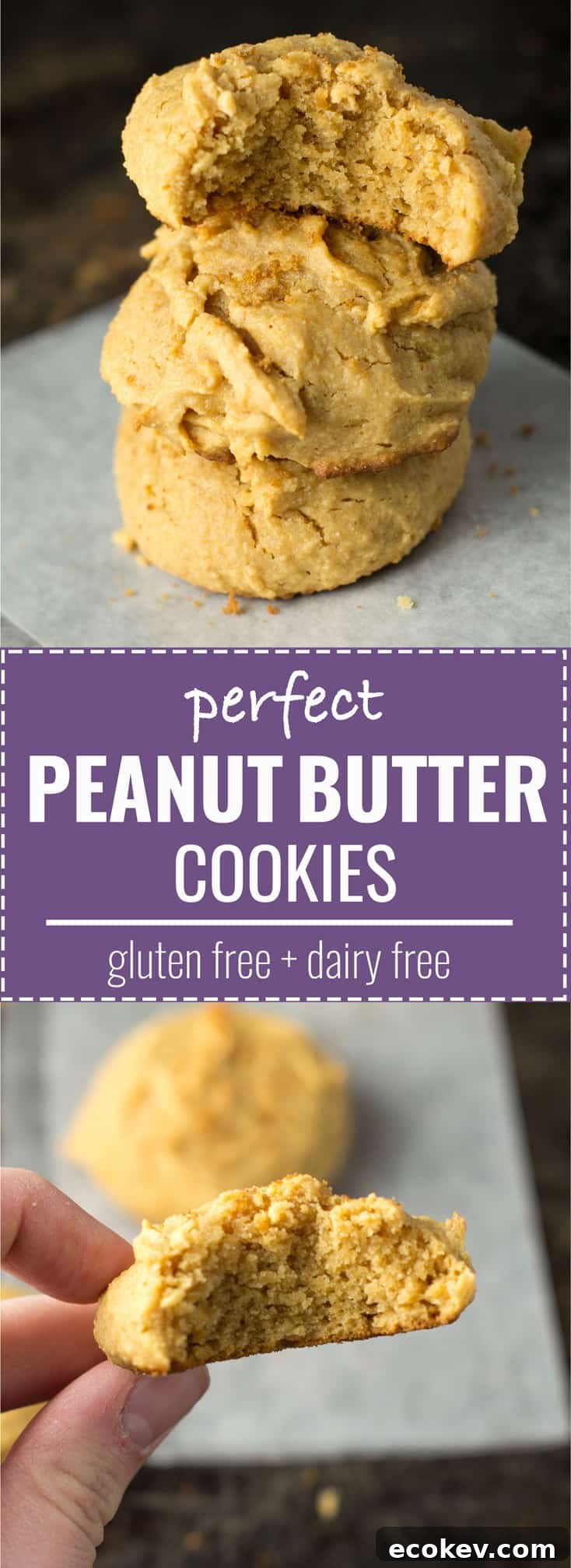 perfect fluffy peanut butter cookies (gluten free + dairy free)