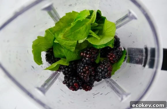 Blender containing fresh mint, blackberries, lime juice and sugar