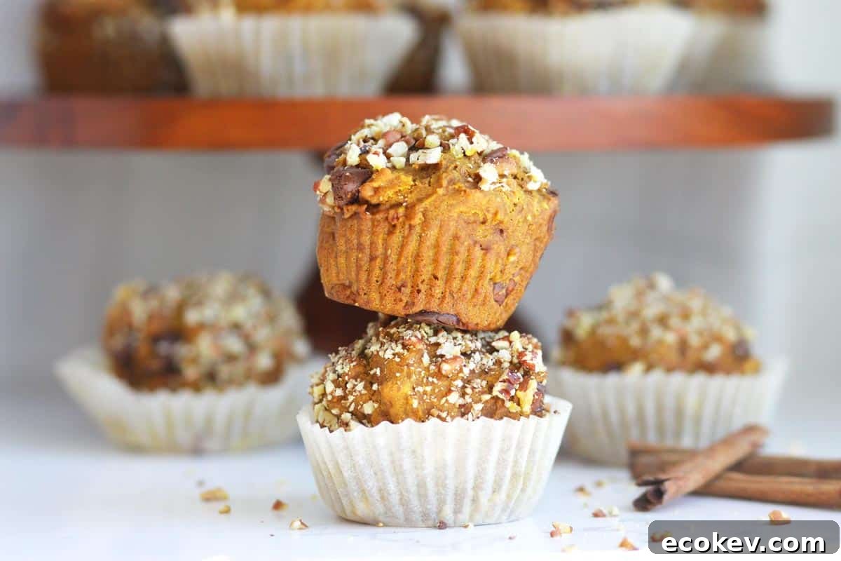 pumpkin muffins with chopped pecans on top and chocolate chips