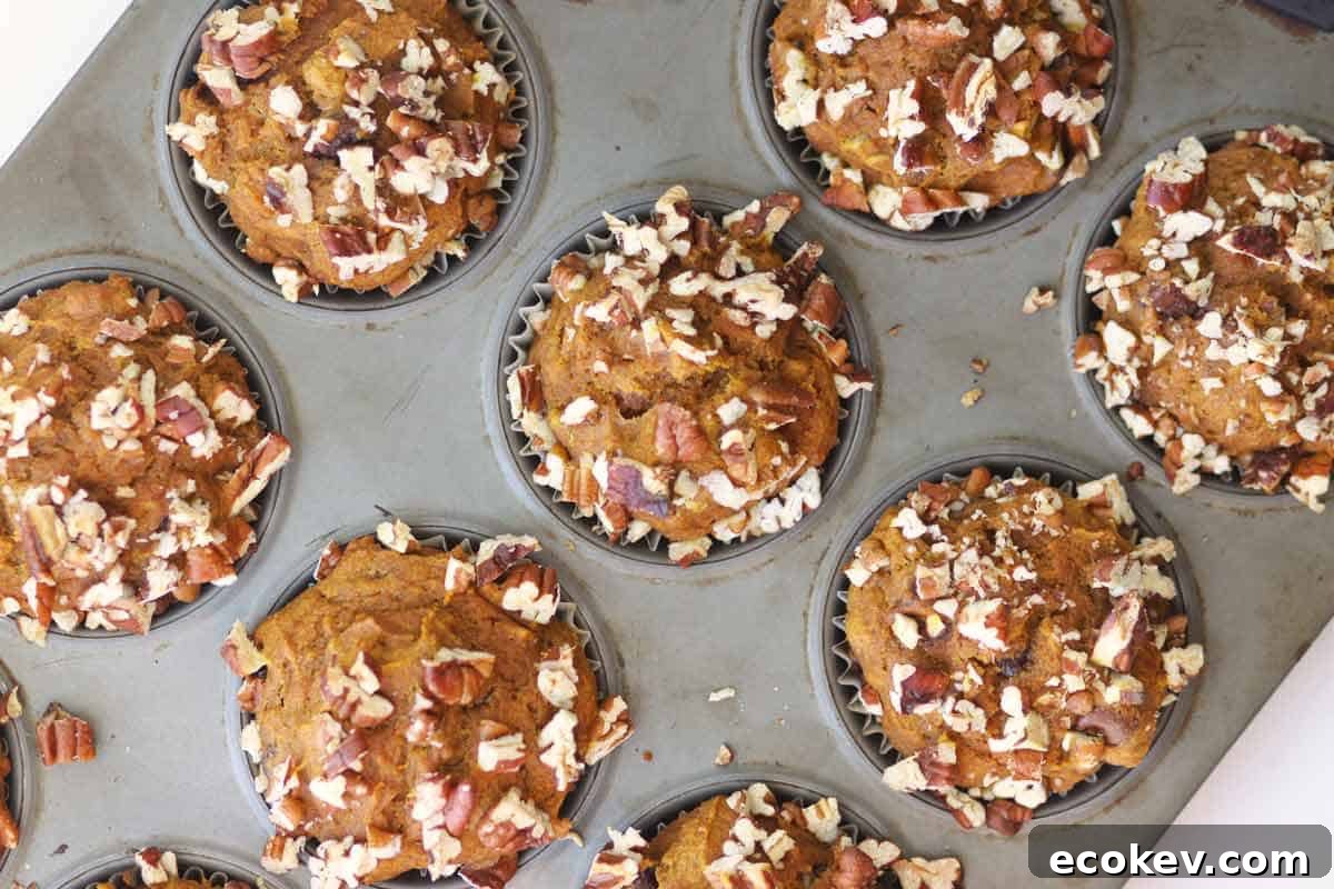 pumpkin muffins with chopped pecans in a muffin tin