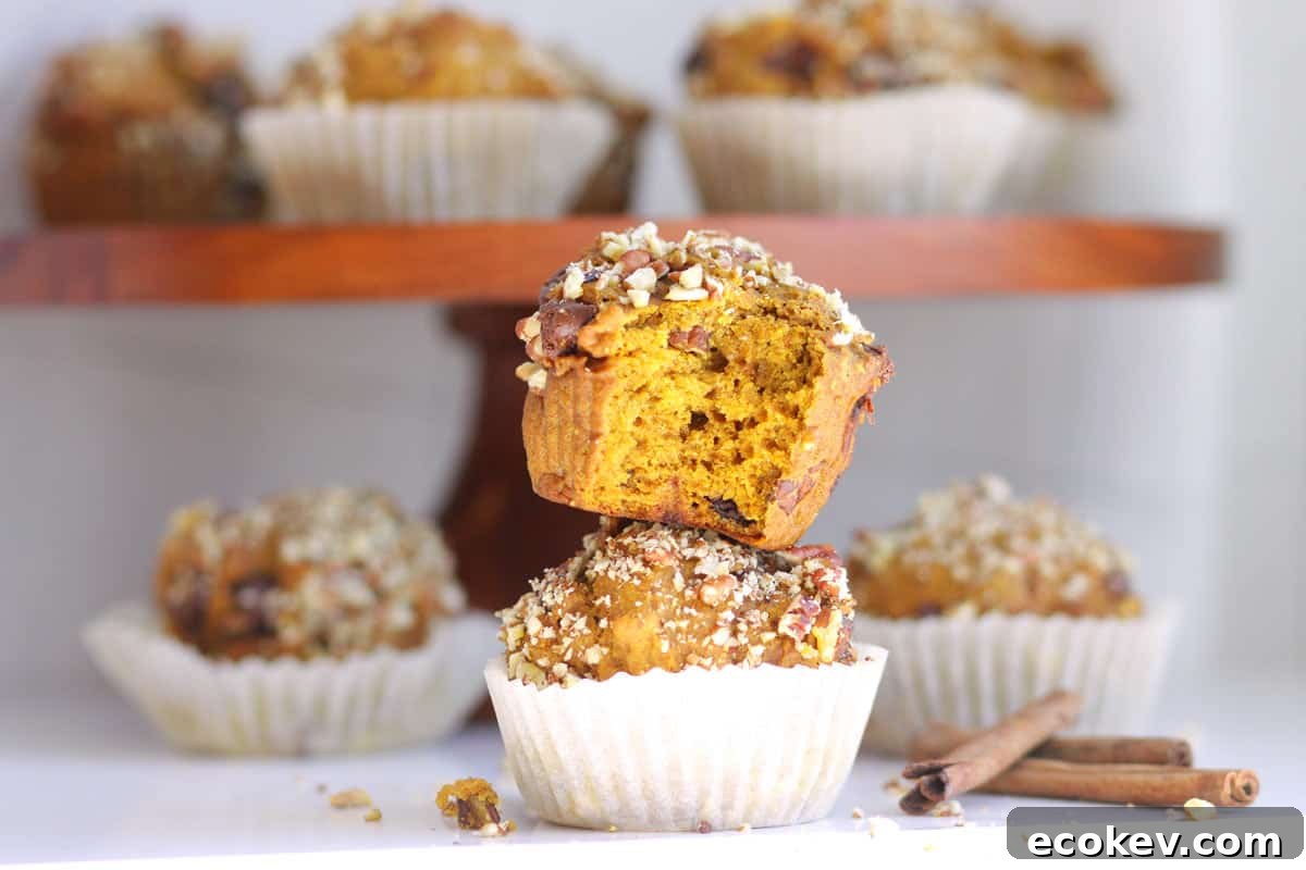 pumpkin muffins with chopped pecans on top and chocolate chips