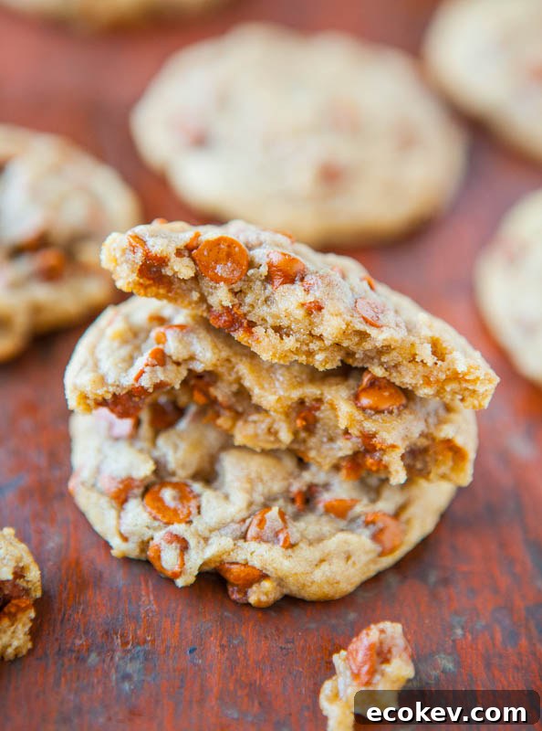 Soft and Chewy Cinnamon Chip Snickerdoodle Cookies averiecooks.com