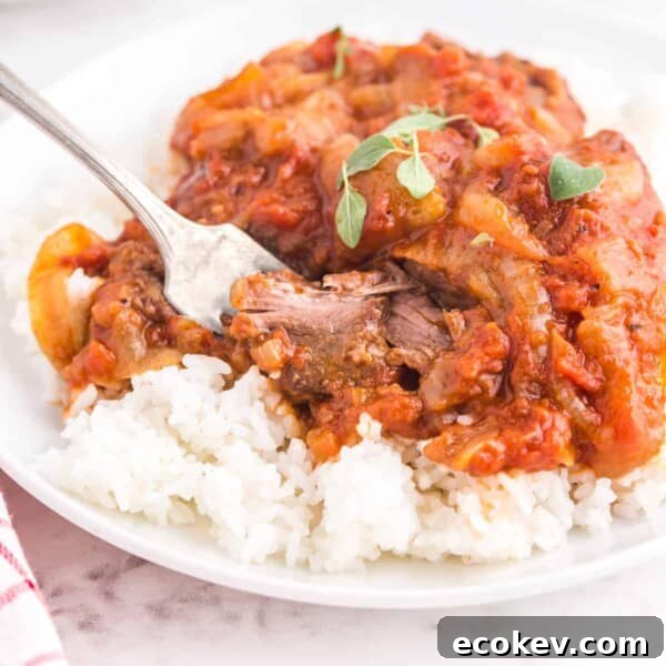 A serving of Swiss steak over white rice.