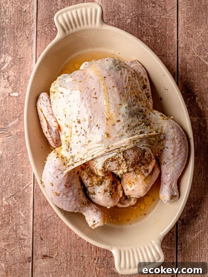A raw whole chicken in a tan ceramic roasting dish, coated in olive oil and dried green herbs.