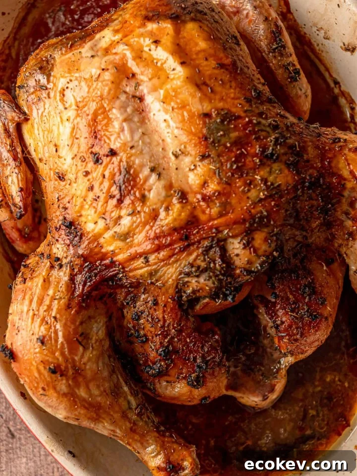 A close-up, top-down shot of a golden-brown roasted chicken with crispy skin and visible dried herbs in a roasting pan.