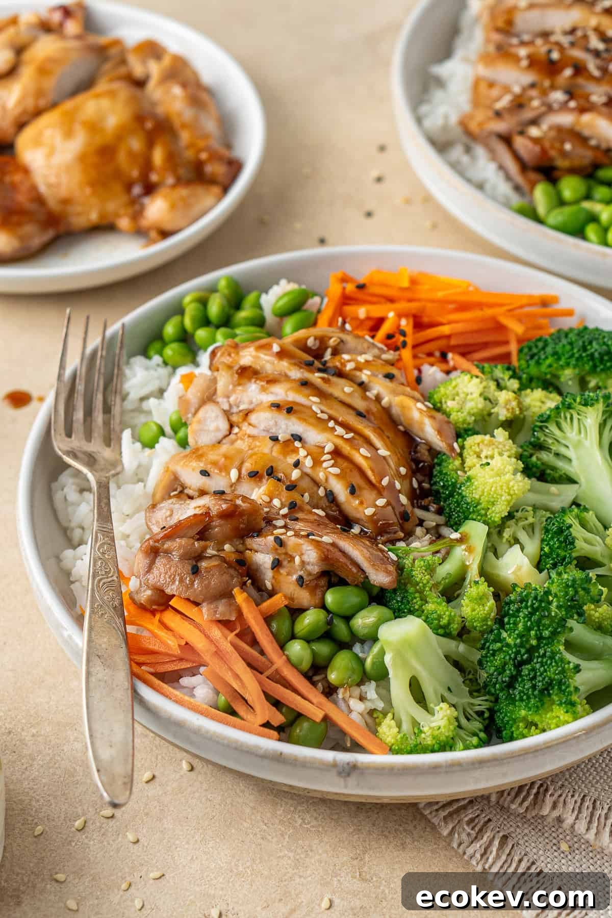 The teriyaki chicken bowls with vegetables.