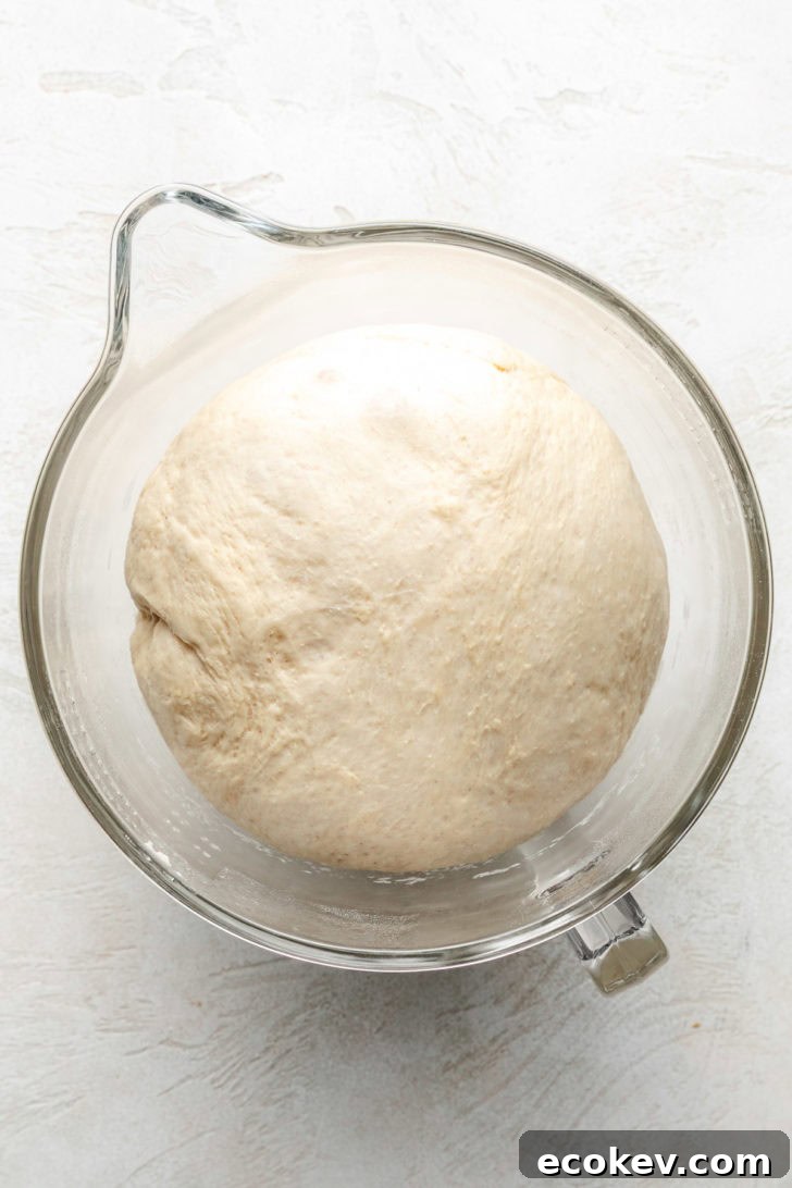 Risen dough in a bowl.