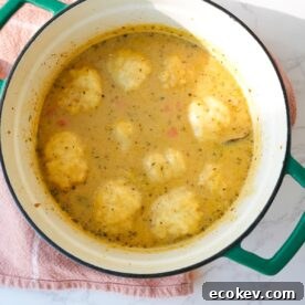 Chicken and dumplings in a dutch oven with tender chicken, carrots, celery, fluffy dumplings, and creamy broth.