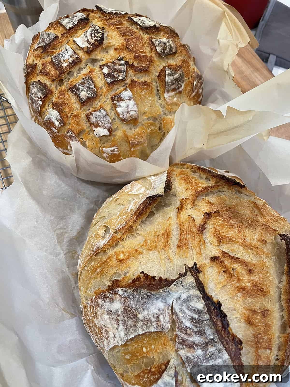 Two freshly baked loaves of sourdough bread sitting on parchment paper.