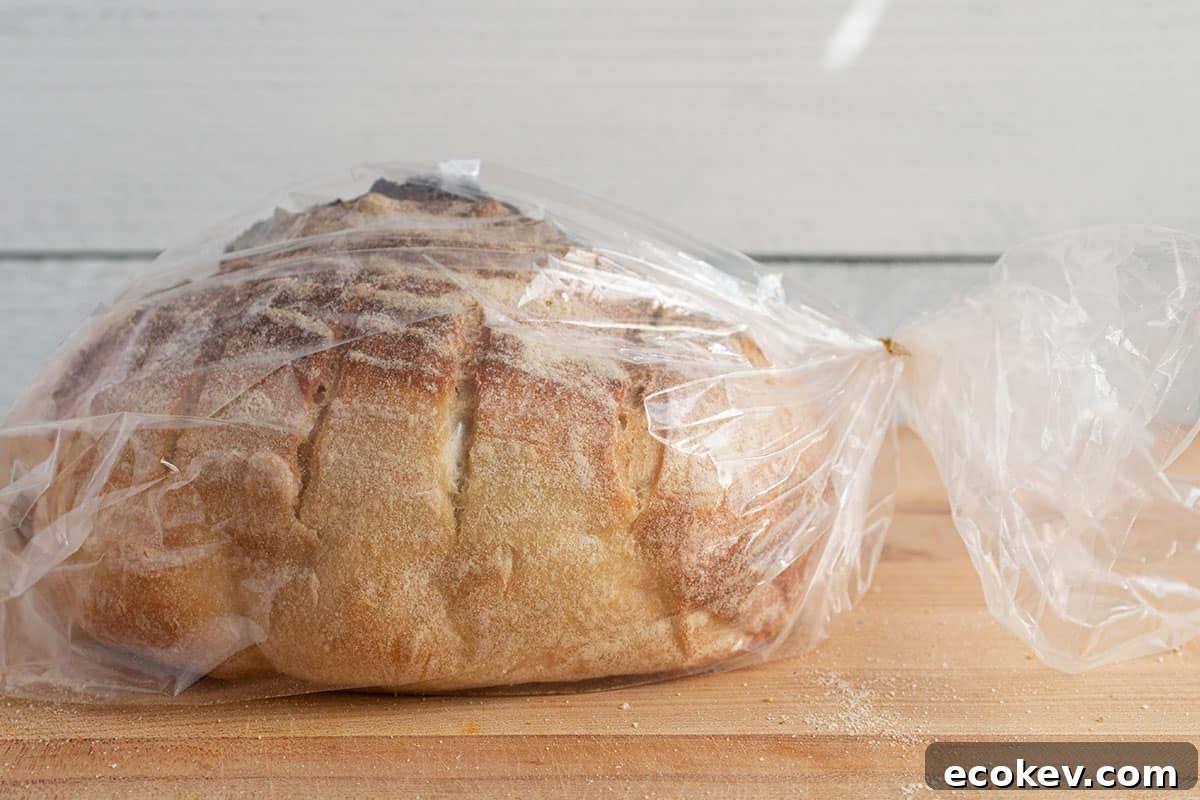 A loaf of sourdough in a plastic bag with a twist tie.