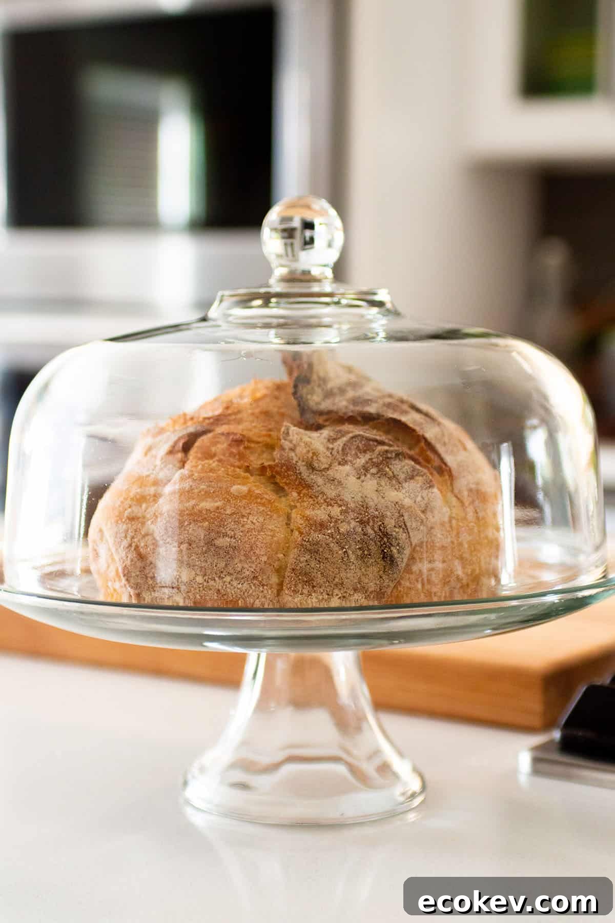 A loaf of bread inside a dome cake plate.