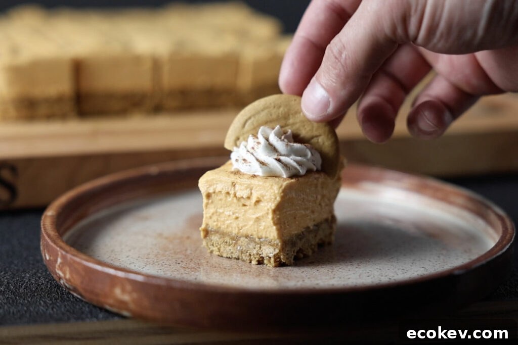 Topping the no bake pumpkin cheesecake bars with whipped cream and a gingersnap cookie.