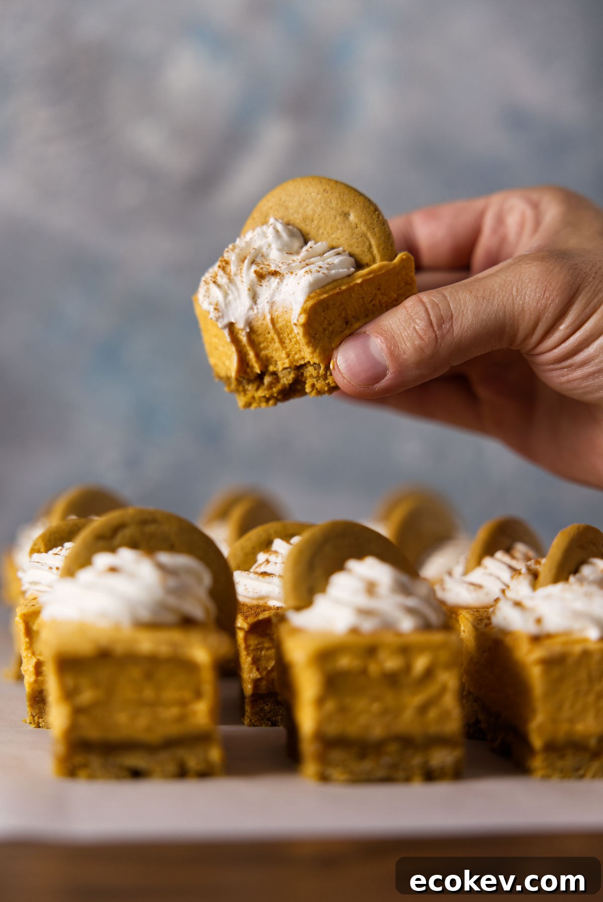 Holding a pumpkin cheesecake bar with a bite taken out of it.