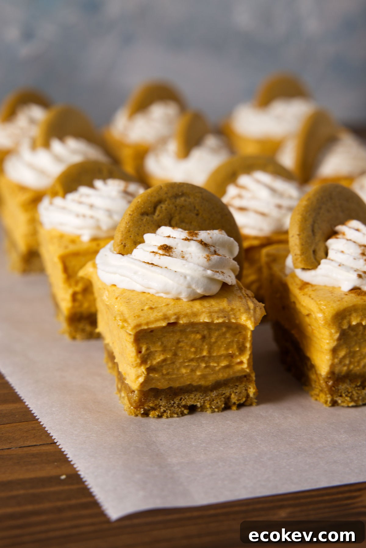 Close up of no-bake pumpkin cheesecake bars with whipped cream and gingersnap cookies on top.
