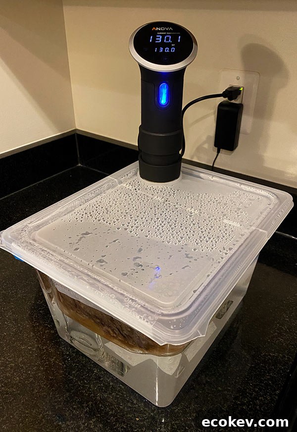 Sous vide bath for skirt steaks
