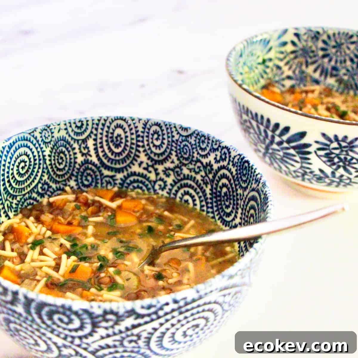 Vegan Lentil & Vegetable Noodle Soup