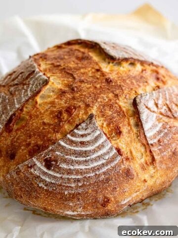Sourdough parmesan bread over parchment paper.